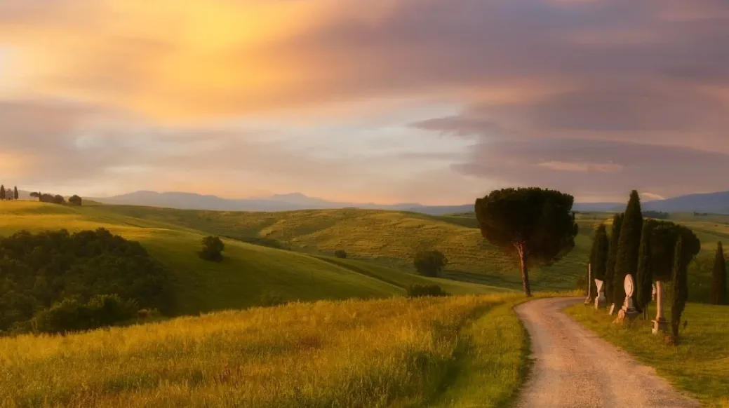 Colline verdi e strada di campagna al tramonto