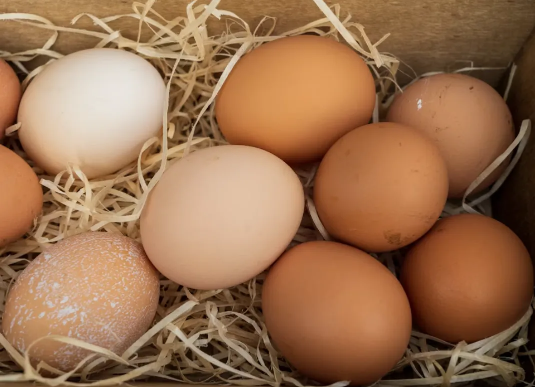 Uova fresche di campagna in una cassetta di paglia