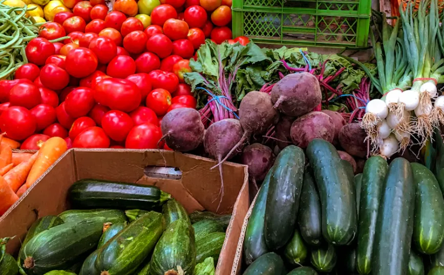 Pomodori, zucchine, barbabietole e cipollotti appena raccolti